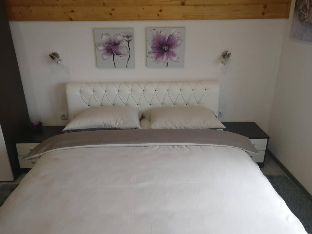 Guest House Jagoda Раковица Екстер'єр фото